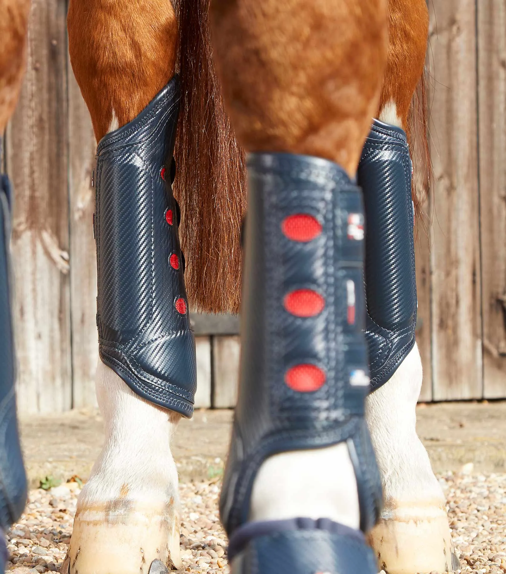 Carbon Tech Air Cooled Eventing Boots Navy Hind